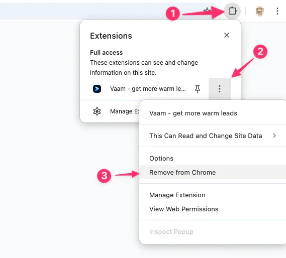 Closeup of manage extension dialog on Chrome